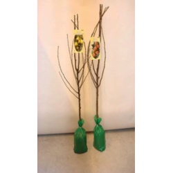 http://www.accesstoretail.com/uploads/partimages/398498_20180220140907_0250.jpeg