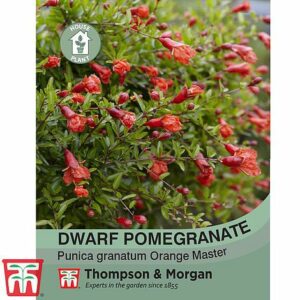 https://ilminsterhomehardware.co.uk/wp-content/uploads/product/athpkb5907.jpg