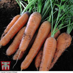 https://ilminsterhomehardware.co.uk/wp-content/uploads/product/att00345.jpg