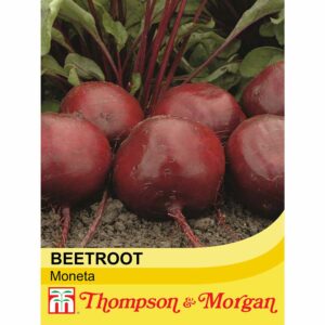 https://ilminsterhomehardware.co.uk/wp-content/uploads/product/att01118.jpg