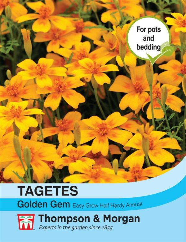 https://ilminsterhomehardware.co.uk/wp-content/uploads/product/att01565.jpg