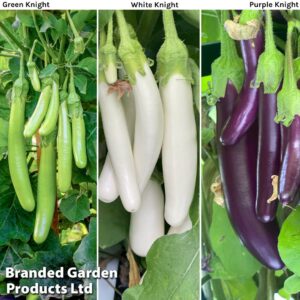 https://ilminsterhomehardware.co.uk/wp-content/uploads/product/attkc9362.jpg